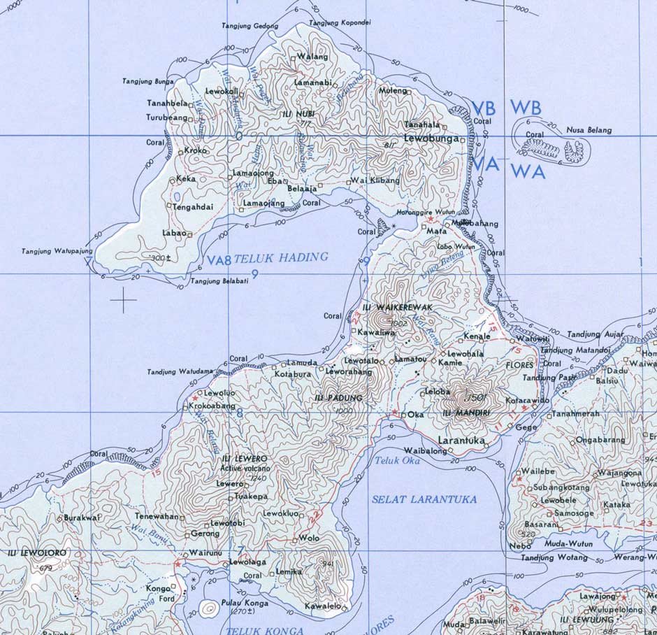 Description: Map of the east Flores region
