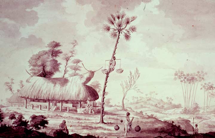 Description: The chief's house on Savu