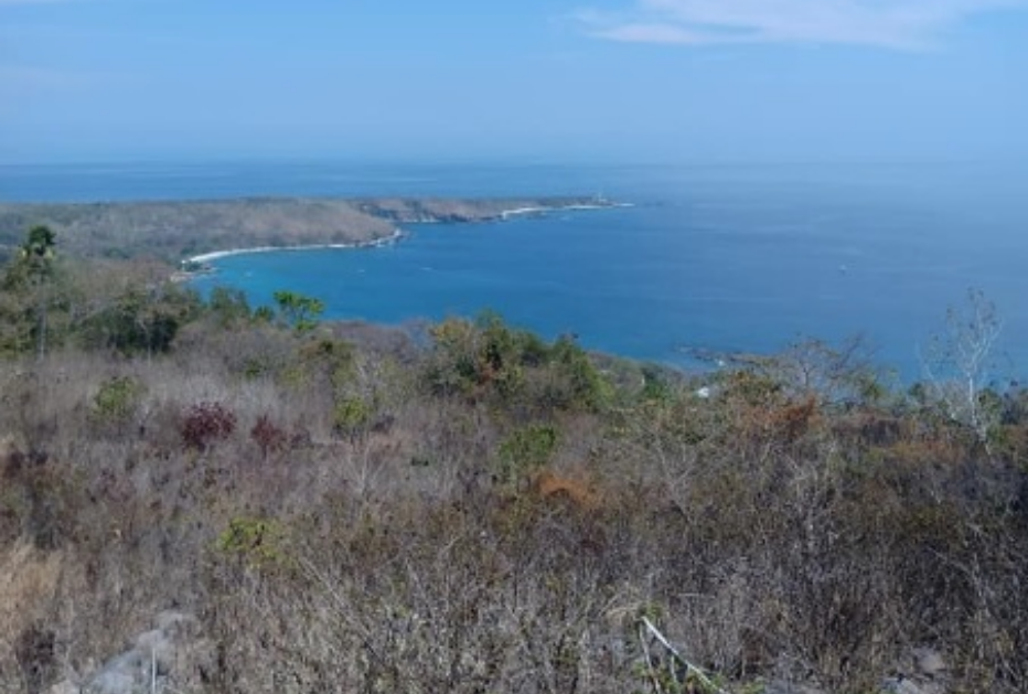 Description: Looking south across Margeta Bay towards Cape Margeta