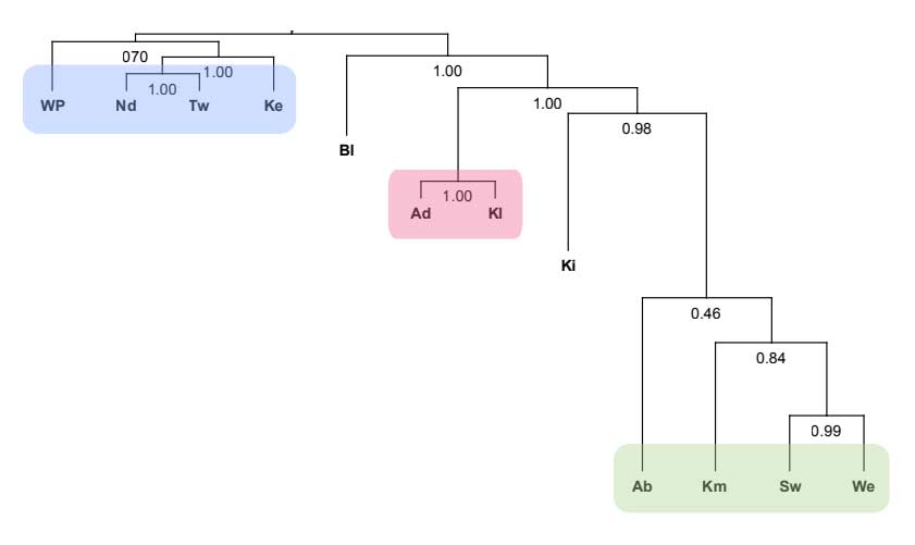 Description: Cladistic sub-grouping of the Alor-Pantar languages