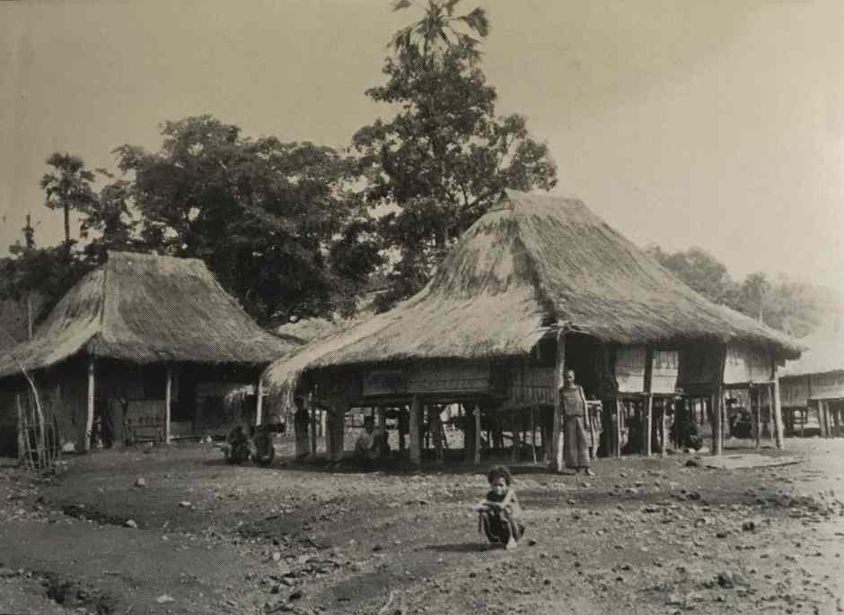Description: Houses in Lewo Tobi
