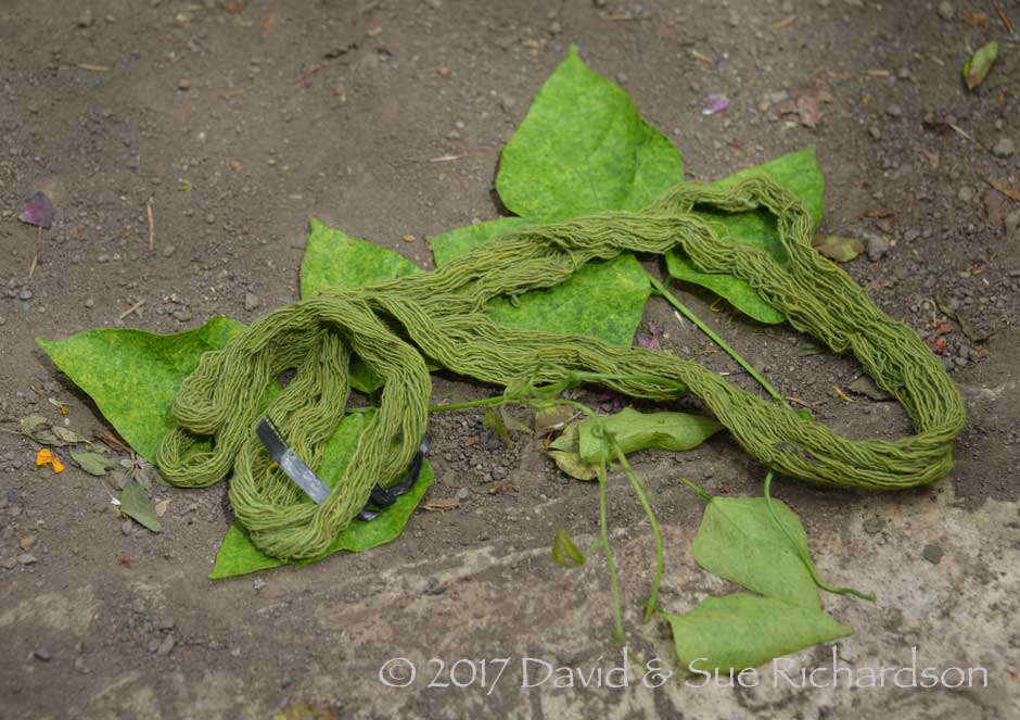 Description: A skein of cotton dyed with utan herani