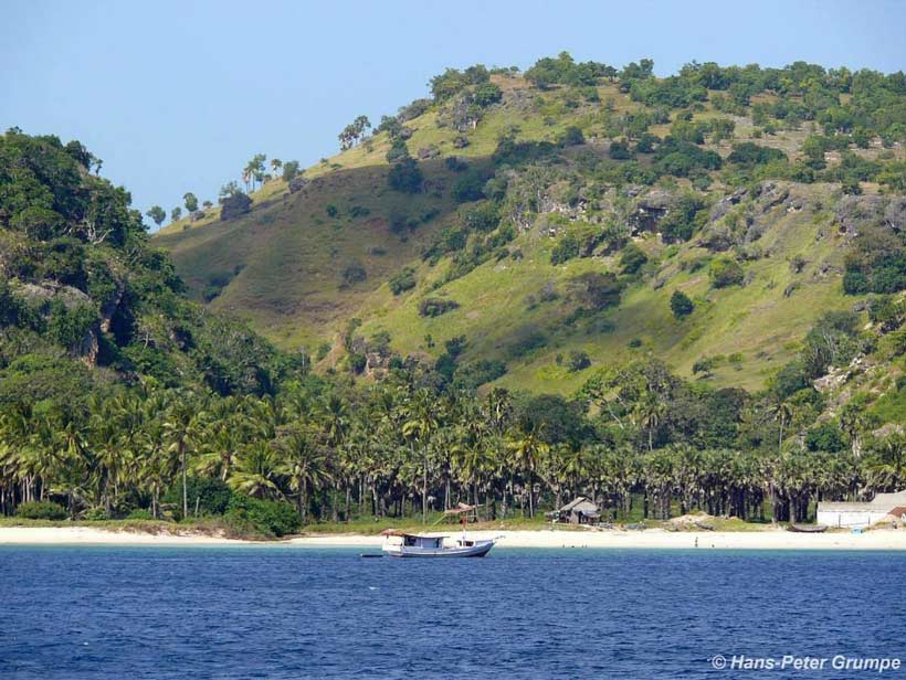 Description: Cleft on Kisar island, Hans-Peter Grumpe