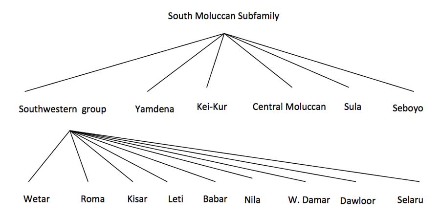 Description: South Maluku language classification after Chlenov 1976