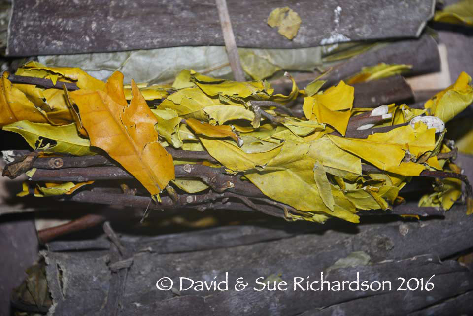 Description: Bundles of loba leaf and bark