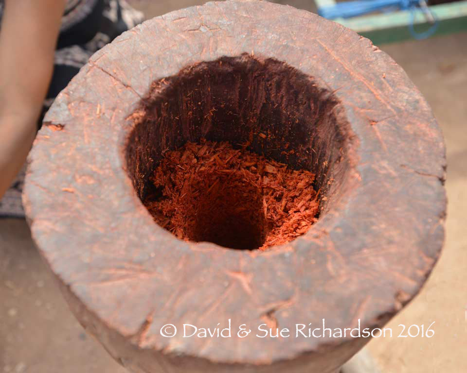Description: Pulped morinda in a wooden mortar, Savu Island