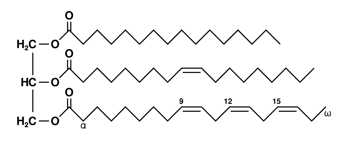 Description: A triacylglycerol