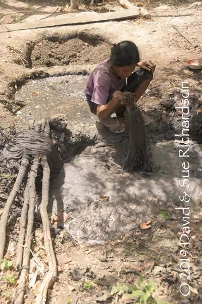 Description: The dyed yarns are removed from the tannin dye bath and are immediately immersed in the mud pit