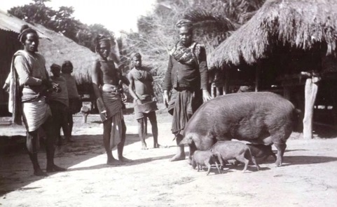 Description: Umbu Laramessa in Kambera in about 1912