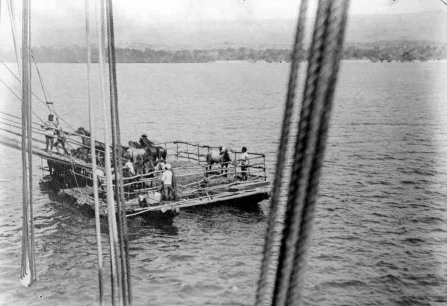 Description: Loading horses onto a steamer from a raft at Waingapu