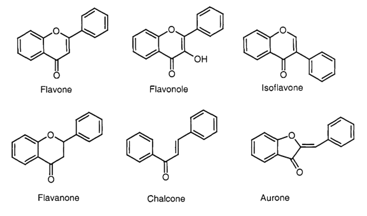 Description: Classification of the flavonoids