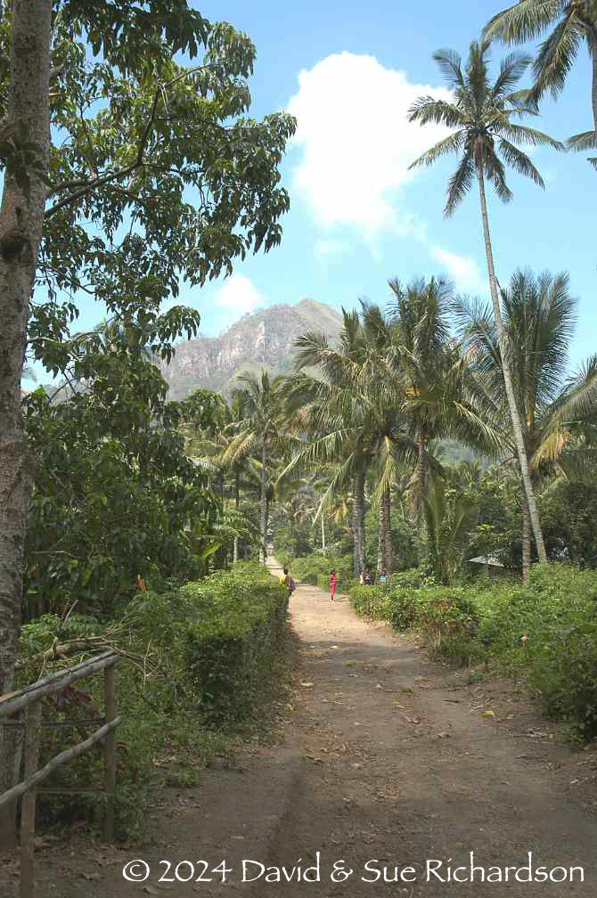 Description: The track into kampong Lerek