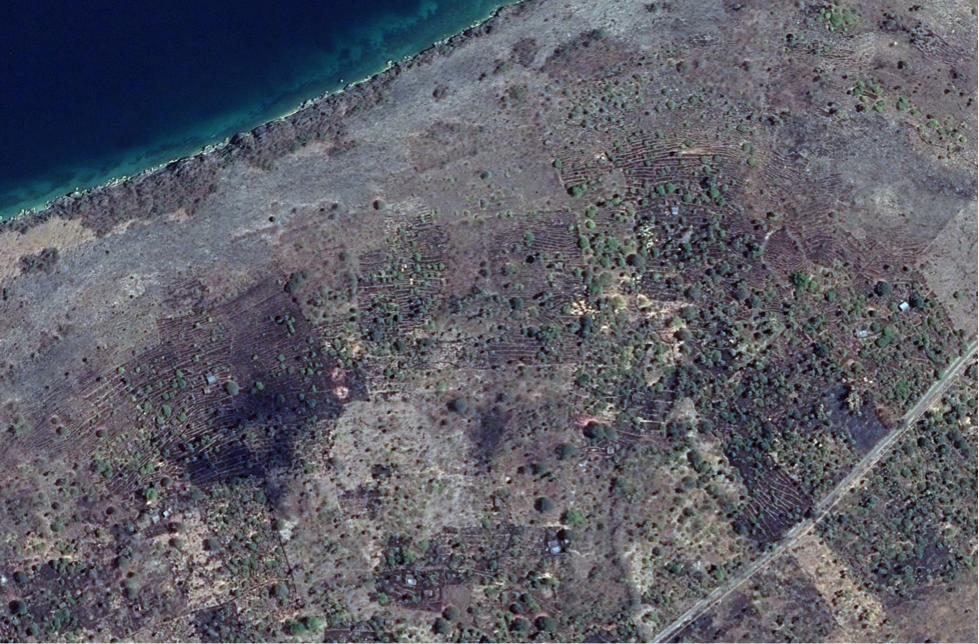 Description: Stone terraces on the west coast