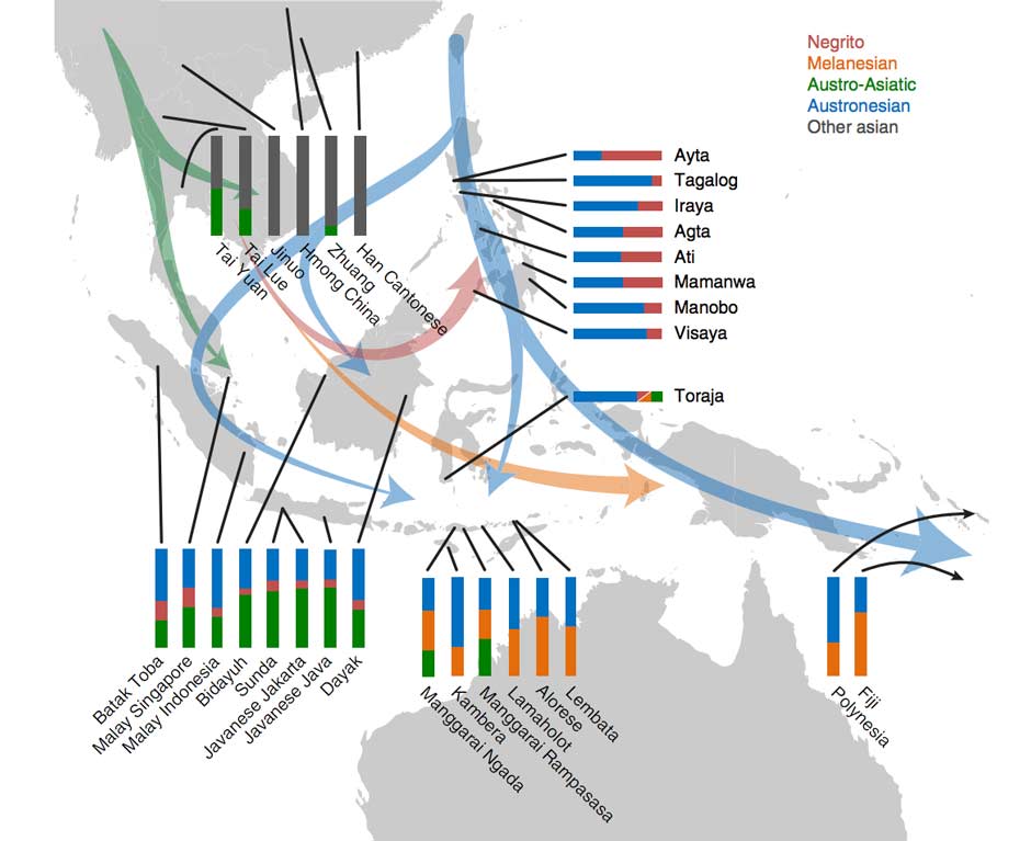 Description: The possible directions of human migrations into Indonesia