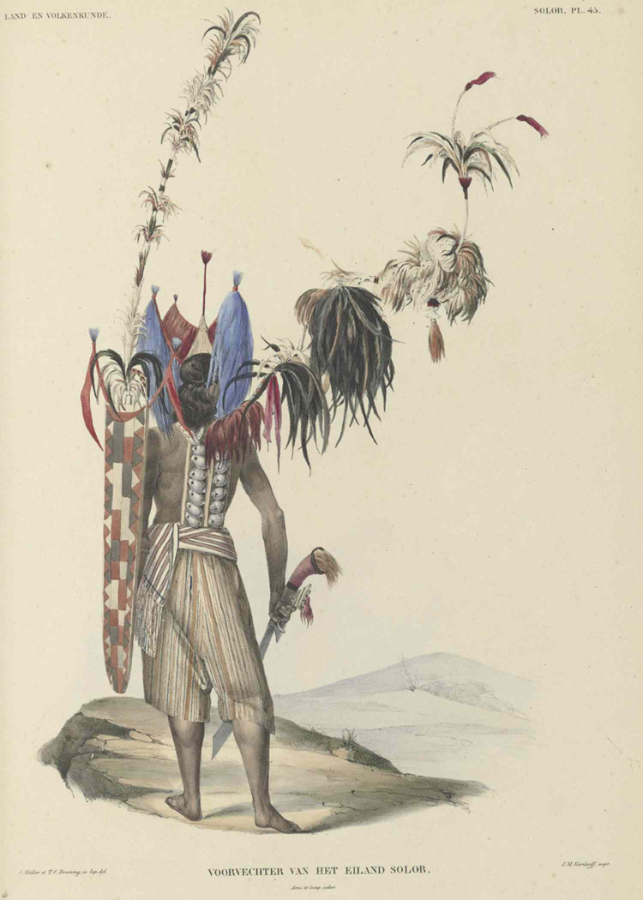 Description: A champion warrior on Solor